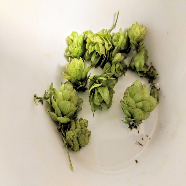 رازک برای مو رازک برای مو